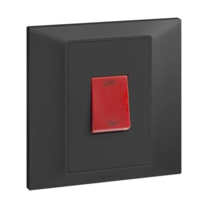 1G 45A DP SWITCH AN